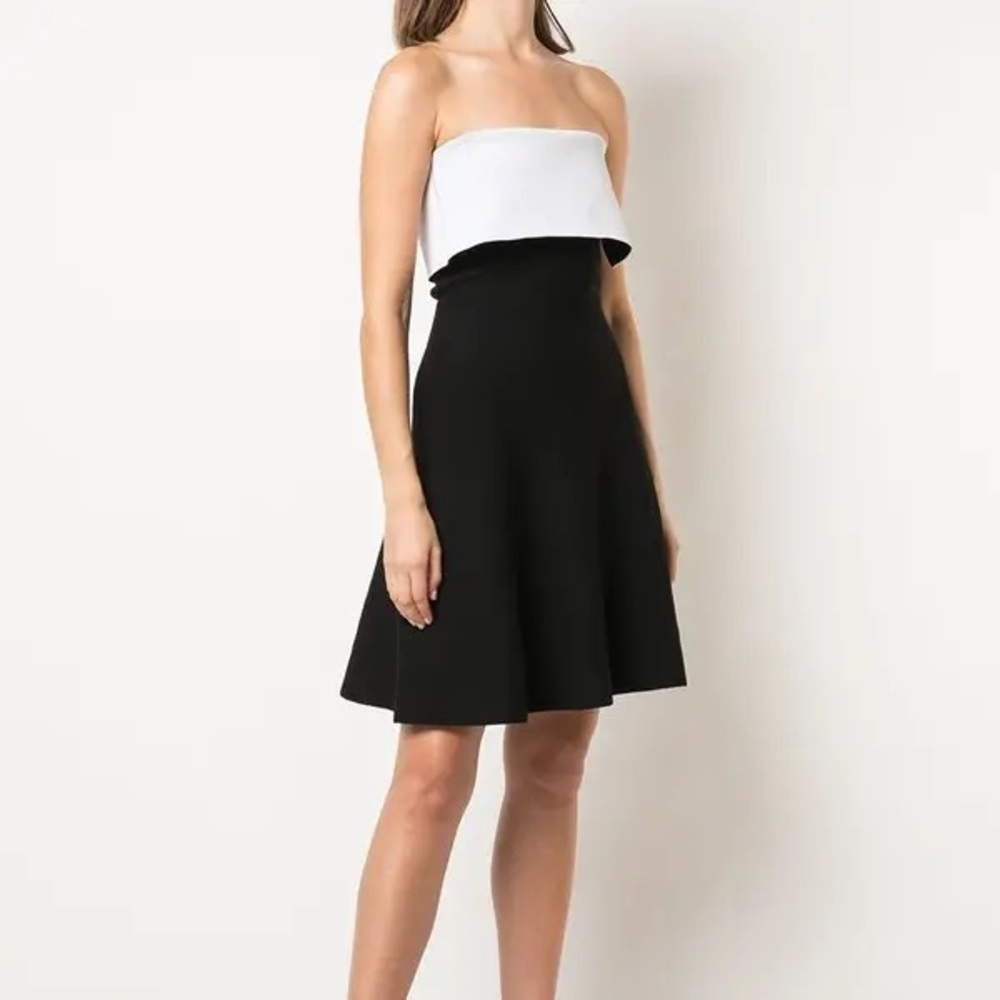 Proenza Schouler Strapless Side Zip Mini Dress